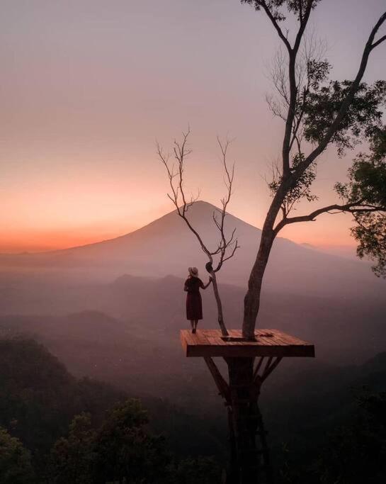 Magic Hills Bali - Magical Eco-Luxury Lodge Selat Dış mekan fotoğraf